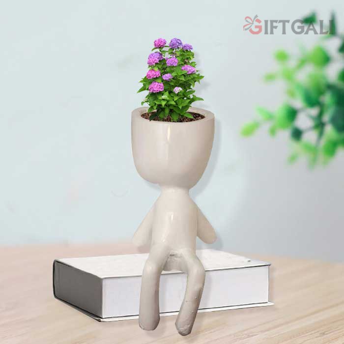 Decorative Planter for table decoration 22.5 cm G42GX0041W