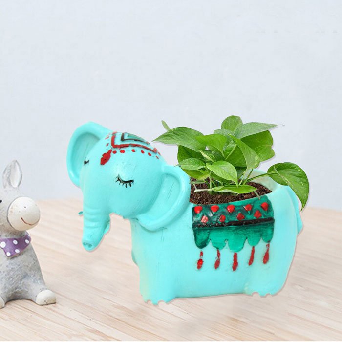 Elephant Planter for Home Decor and Birthday Return Gift 8.75 cm G42GX0049Q