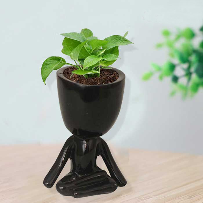 Yoga Home Decorative Planter gifting on birthday 12 cm G42GX0064K