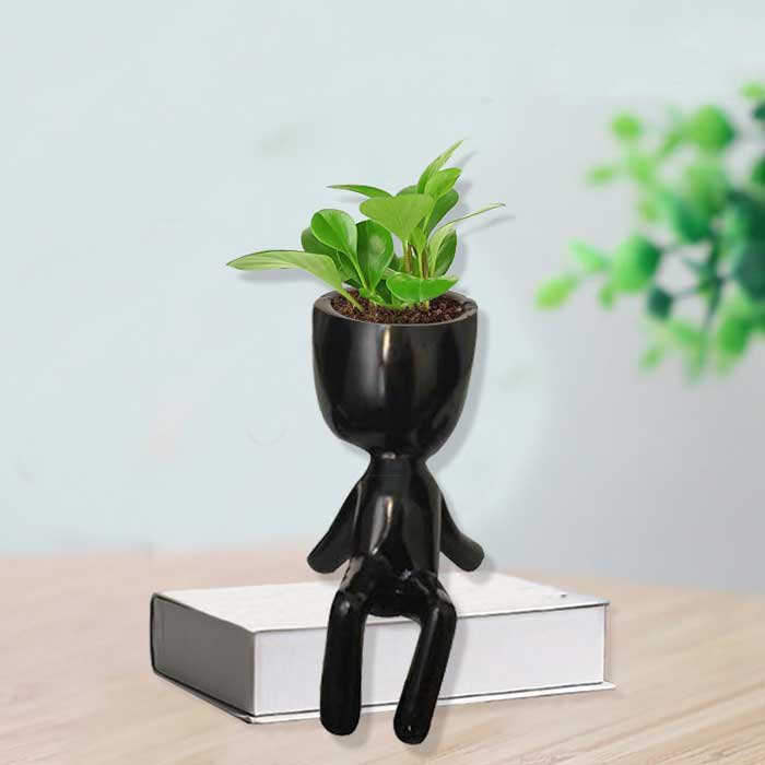 Planter Home Decorative Item for table decoration 18 cm G42GX0065K