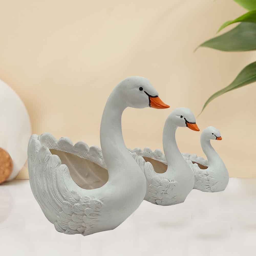 3 Pair of Swan Planter for office decoration 20 cm G61GX0033W